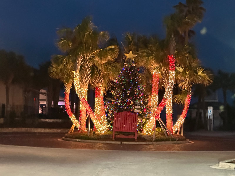 Picture of Lights on Palm Trees at Jacksonville Beach