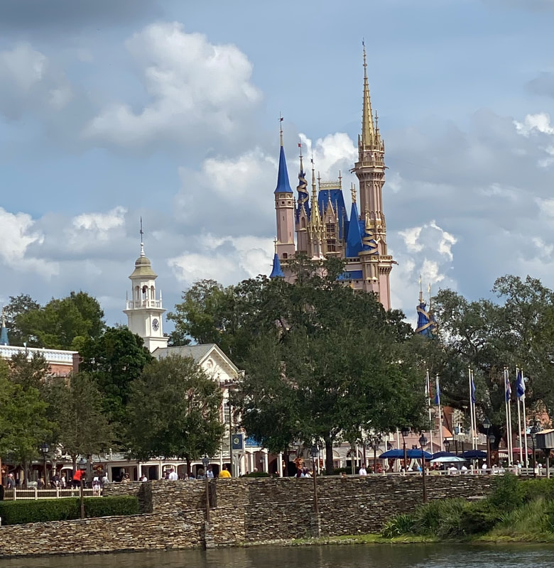 Picture of Castle at Waslt Disney World